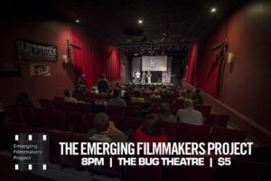 The Bug Theater, Denver, Colorado International Activism Film Festival, July 15-16, 2017